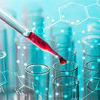 Giáo án Khoa học tự nhiên 9: Ôn tập chủ đề 6