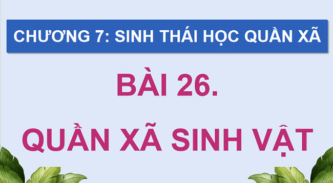 Giáo án PowerPoint Sinh học 12 Bài 26
