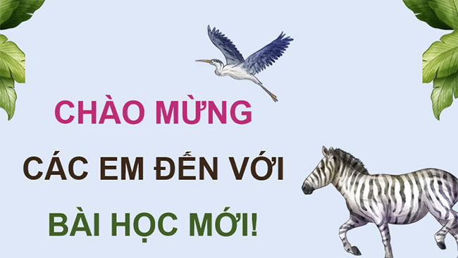 Giáo án PowerPoint Sinh học 12 Bài 26