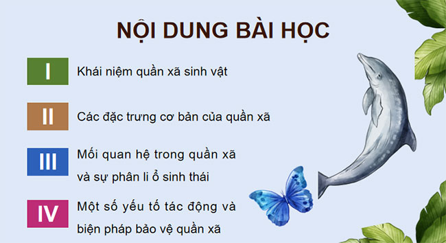 Giáo án PowerPoint Sinh học 12 Bài 26