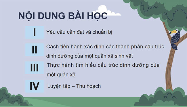 Giáo án PowerPoint Sinh học 12 Bài 27