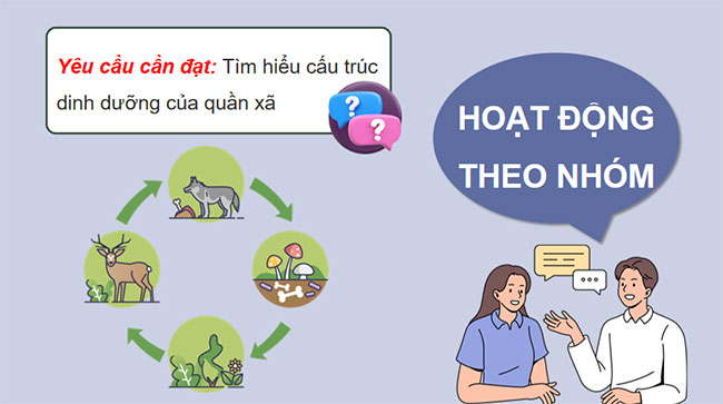 Giáo án PowerPoint Sinh học 12 Bài 27