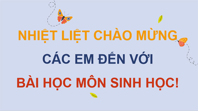 Giáo án PowerPoint Sinh học 12 Bài 28