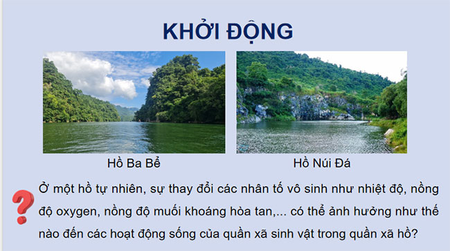Giáo án PowerPoint Sinh học 12 Bài 28