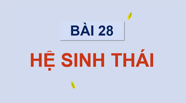 Giáo án PowerPoint Sinh học 12 Bài 28