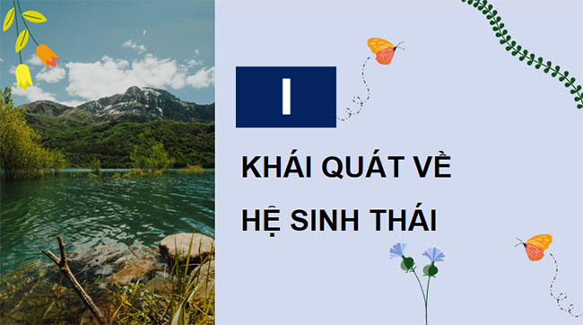 Giáo án PowerPoint Sinh học 12 Bài 28