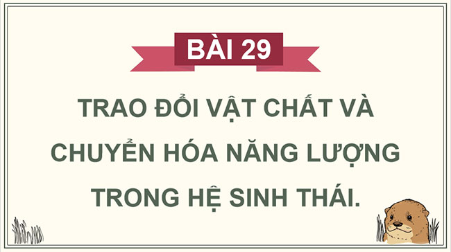 Giáo án PowerPoint Sinh học 12 Bài 29