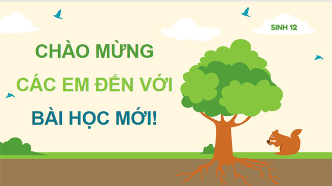 Giáo án PowerPoint Sinh học 12 Bài 31