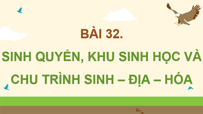 Giáo án PowerPoint Sinh học 12 Bài 31