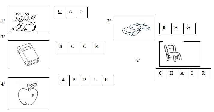 Đề thi Tiếng Anh lớp 1 Giữa học kì 2 Hà Nội (5 đề) (ảnh 1)