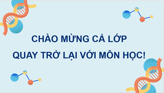 PowerPoint Sinh học 12 Bài 23 Kết nối
