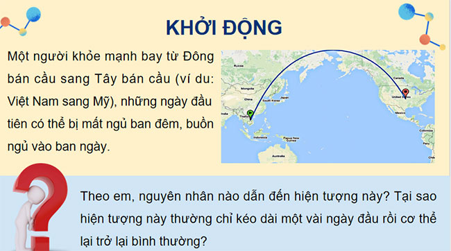 PowerPoint Sinh học 12 Bài 23 Kết nối