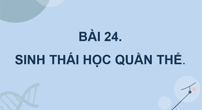 PowerPoint Sinh học 12 Bài 24 Kết nối tri thức