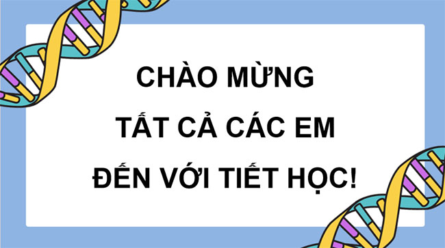 PowerPoint Sinh học 12 Bài 25 Kết nối tri thức