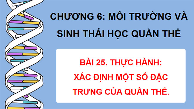 PowerPoint Sinh học 12 Bài 25 Kết nối tri thức