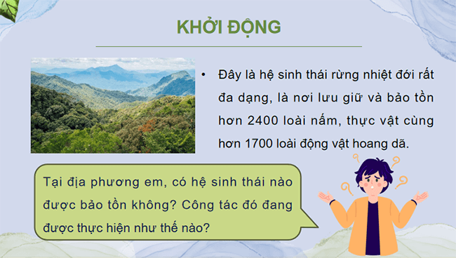 PowerPoint Sinh học 12 Bài 35 Kết nối tri thức