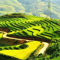 Giáo án Tiếng Việt 5: Mở rộng vốn từ Đất nước