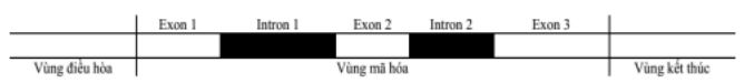 Đề thi thử THPT Quốc gia môn Sinh - Đề 2