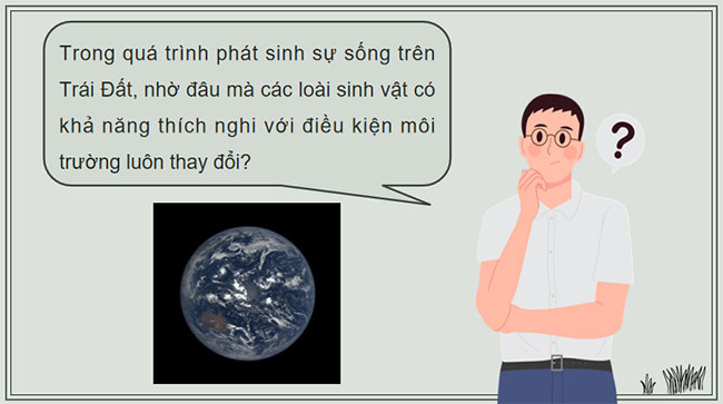 PowerPoint KHTN 9 Bài 46 Chân trời sáng tạo