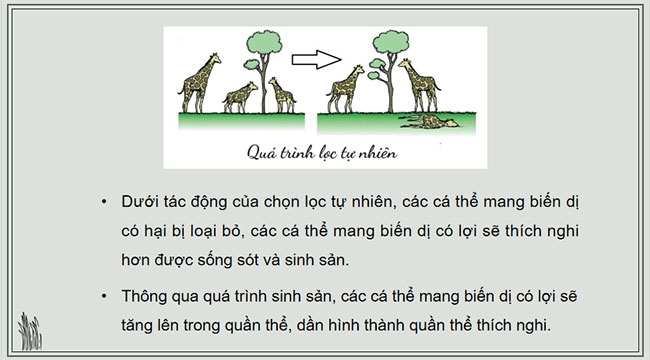 PowerPoint KHTN 9 Bài 46 Chân trời sáng tạo