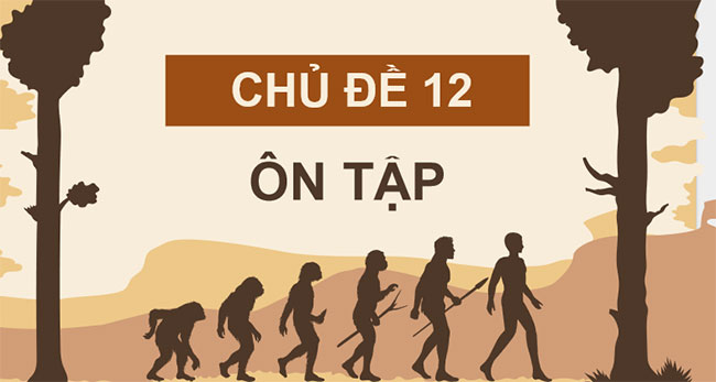 PowerPoint KHTN 9 Ôn tập chủ đề 12