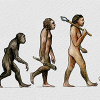 Giáo án Khoa học tự nhiên 9 Bài 47: Cơ chế tiến hoá