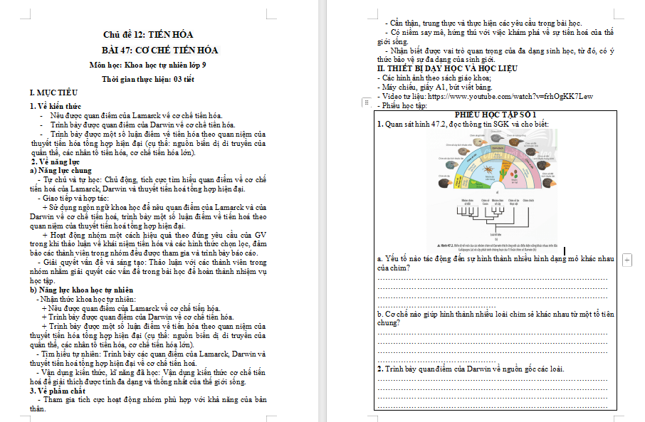 Giáo án KHTN 9 Bài 47 Chân trời sáng tạo