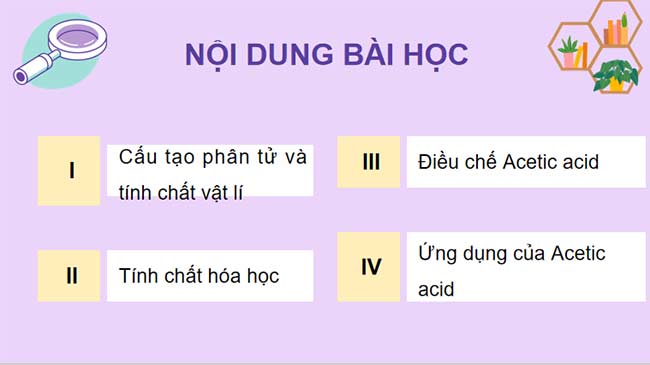 PowerPoint KHTN 9 Bài 24: Acetic acid 