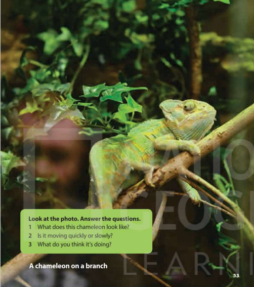 Tiếng Anh 5 Wonderful world Unit 11 lesson 1