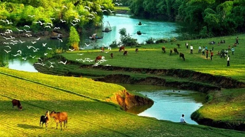 Đoạn văn nêu tình cảm, cảm xúc trước một cảnh đẹp