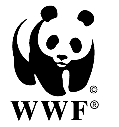 Tiếng Anh 10 Unit 9 Writing Global Success