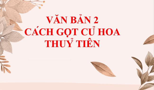 PowerPoint Ngữ văn 7 Cách gọt củ hoa thủy tiên