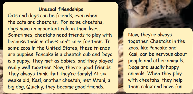 Tiếng Anh 5 Wonderful world Unit 11 lesson 2