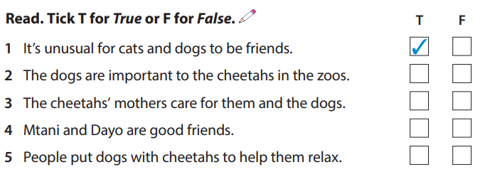 Tiếng Anh 5 Wonderful world Unit 11 lesson 2