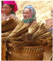 Vở bài tập Tiếng Việt lớp 5 Tập 2 trang 56