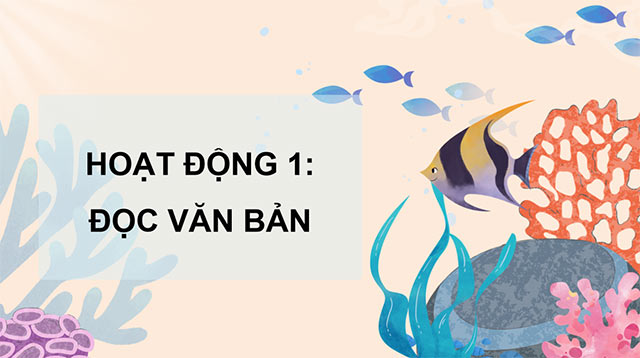 PowerPoint Tiếng Việt 5 Vì đại dương trong xanh