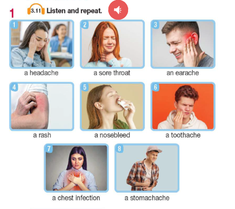 Tiếng Anh Bright 11 Unit 8 Introduction 