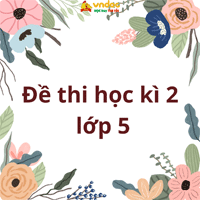 Đề thi học kì 2 môn Tin học lớp 5 sách Rô bốt thông minh năm 2025