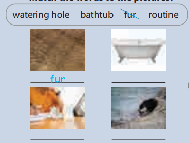 Tiếng Anh 5 Wonderful world Review 6 Part 3