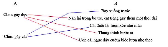 Tiếng việt 5