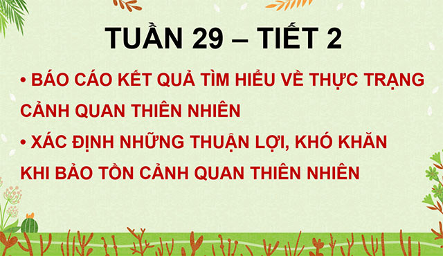 PowerPoint Hoạt động trải nghiệm 5 Tuần 29