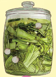 Khoa học 5 Chân trời sáng tạo