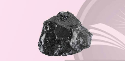 Khoa học 5 Chân trời sáng tạo