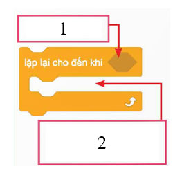 Tin học 5 Chân trời sáng tạo