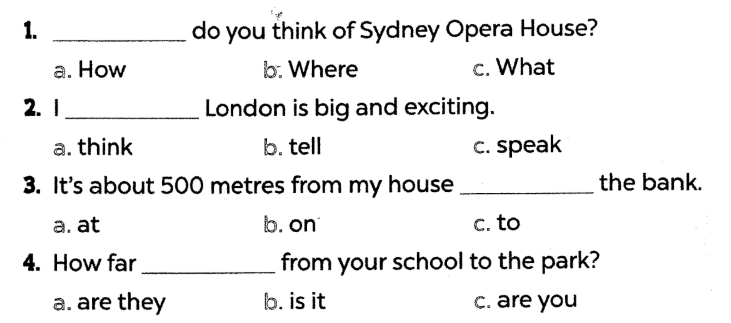 Sách bài tập tiếng Anh lớp 5 unit 19 Global success