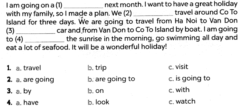 Sách bài tập tiếng Anh lớp 5 unit 20 Global success