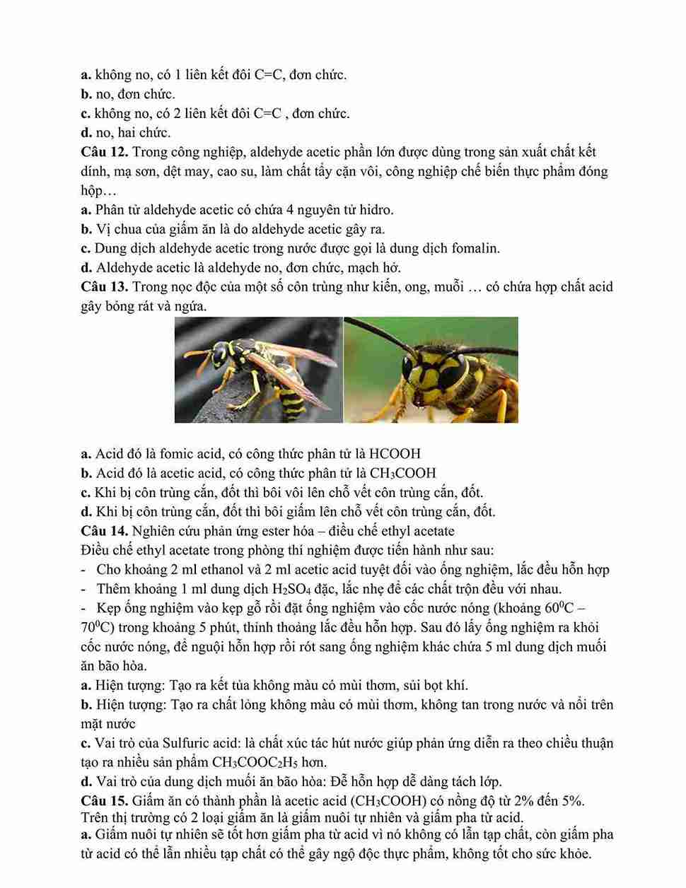 de cuong on tap hoa 11 hoc ki 2 co dap an hinh anh 17 1*690940