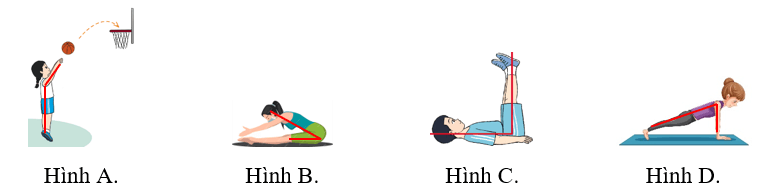 Góc nhọn, góc tù, góc bẹt