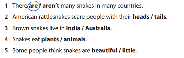 Sách bài tập tiếng Anh 5 Wonderful world Review 6