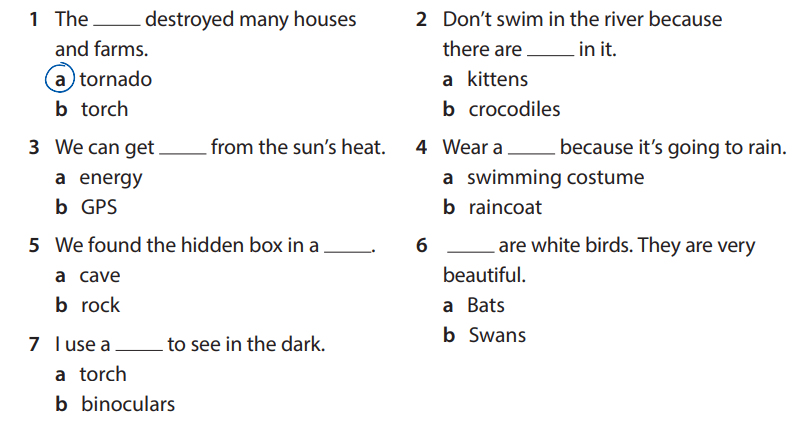 Sách bài tập tiếng Anh 5 Wonderful world Review 6